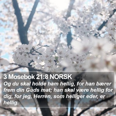3 Mosebok 21:8 NORSK Bible Verse Image