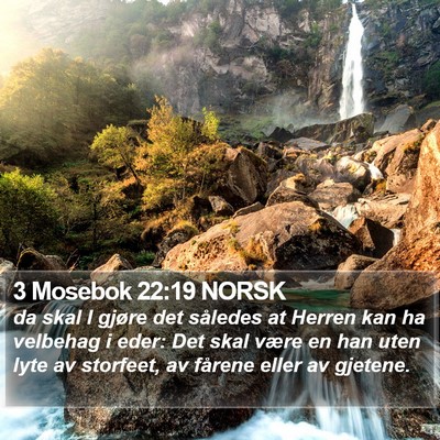 3 Mosebok 22:19 NORSK Bible Verse Image