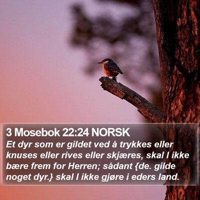 3 Mosebok 22:24 NORSK Bible Verse Image