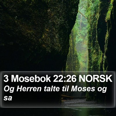 3 Mosebok 22:26 NORSK Bible Verse Image