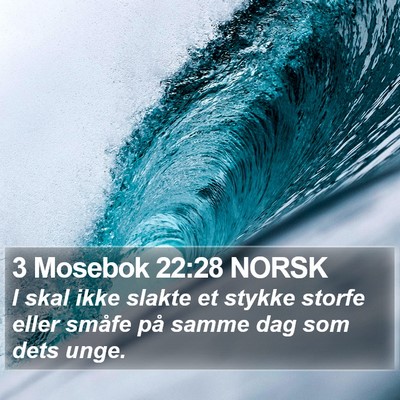 3 Mosebok 22:28 NORSK Bible Verse Image