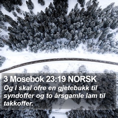 3 Mosebok 23:19 NORSK Bible Verse Image