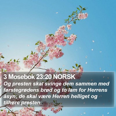 3 Mosebok 23:20 NORSK Bible Verse Image