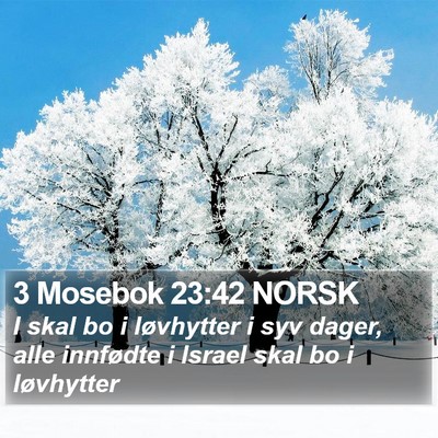 3 Mosebok 23:42 NORSK Bible Verse Image