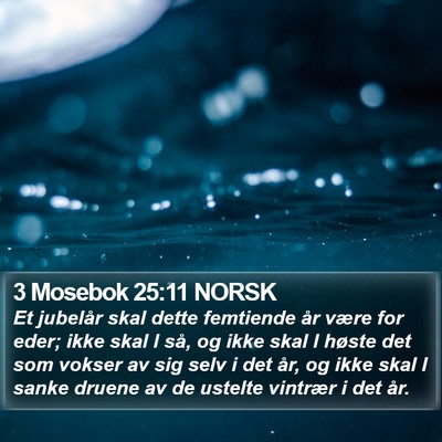 3 Mosebok 25:11 NORSK Bible Verse Image
