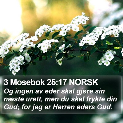 3 Mosebok 25:17 NORSK Bible Verse Image