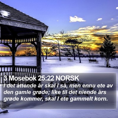 3 Mosebok 25:22 NORSK Bible Verse Image