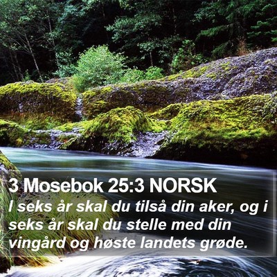 3 Mosebok 25:3 NORSK Bible Verse Image