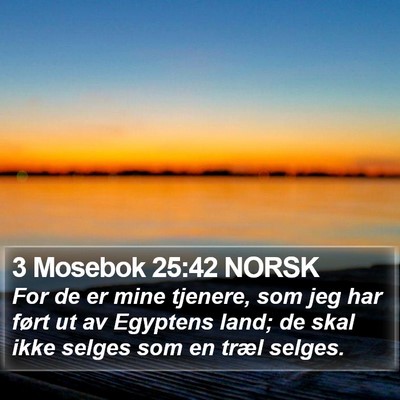 3 Mosebok 25:42 NORSK Bible Verse Image