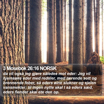 3 Mosebok 26:16 NORSK Bible Verse Image