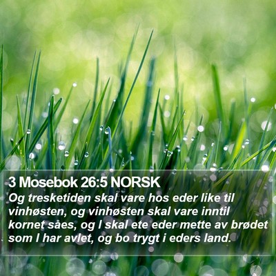 3 Mosebok 26:5 NORSK Bible Verse Image