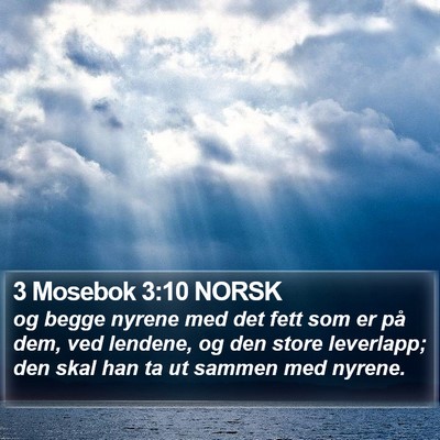 3 Mosebok 3:10 NORSK Bible Verse Image