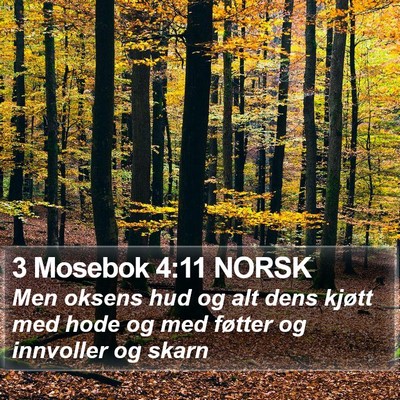 3 Mosebok 4:11 NORSK Bible Verse Image