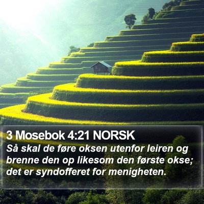 3 Mosebok 4:21 NORSK Bible Verse Image