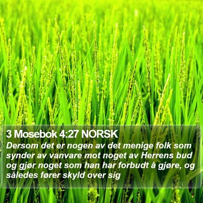3 Mosebok 4:27 NORSK Bible Verse Image