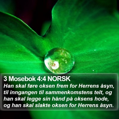 3 Mosebok 4:4 NORSK Bible Verse Image