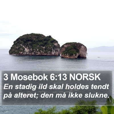 3 Mosebok 6:13 NORSK Bible Verse Image