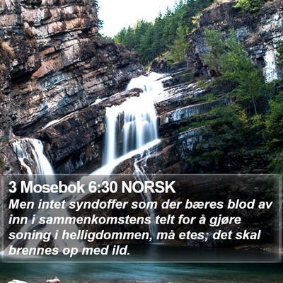 3 Mosebok 6:30 NORSK Bible Verse Image