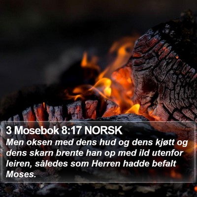 3 Mosebok 8:17 NORSK Bible Verse Image