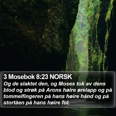 3 Mosebok 8:23 NORSK Bible Verse Image