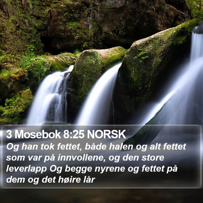 3 Mosebok 8:25 NORSK Bible Verse Image