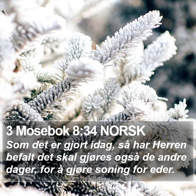 3 Mosebok 8:34 NORSK Bible Verse Image
