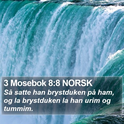 3 Mosebok 8:8 NORSK Bible Verse Image