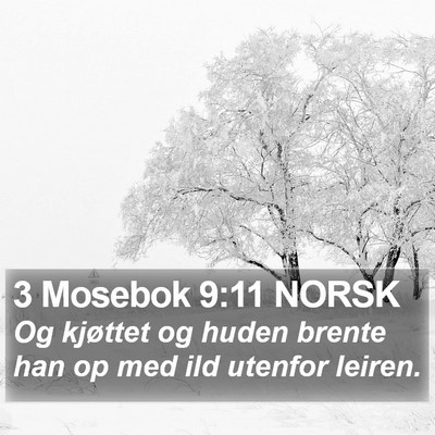 3 Mosebok 9:11 NORSK Bible Verse Image