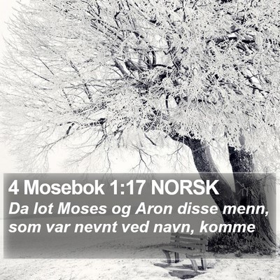 4 Mosebok 1:17 NORSK Bible Verse Image