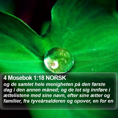 4 Mosebok 1:18 NORSK Bible Verse Image