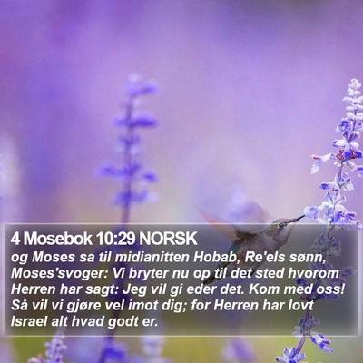 4 Mosebok 10:29 NORSK Bible Verse Image