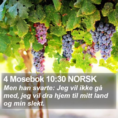 4 Mosebok 10:30 NORSK Bible Verse Image