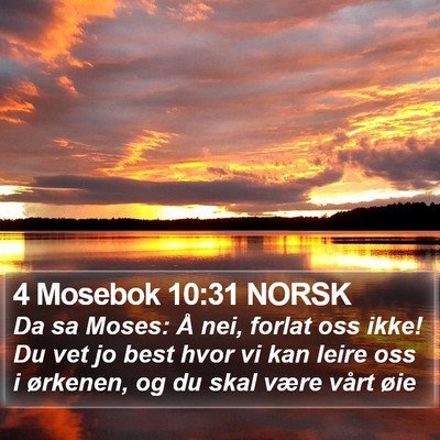 4 Mosebok 10:31 NORSK Bible Verse Image