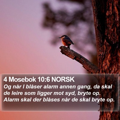 4 Mosebok 10:6 NORSK Bible Verse Image