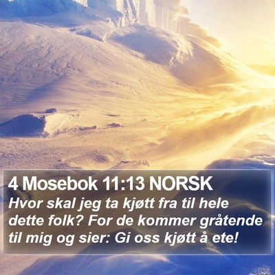 4 Mosebok 11:13 NORSK Bible Verse Image