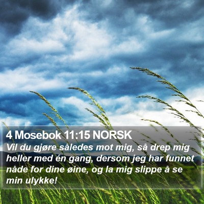 4 Mosebok 11:15 NORSK Bible Verse Image