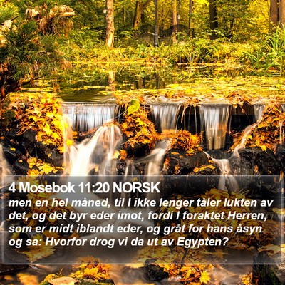 4 Mosebok 11:20 NORSK Bible Verse Image