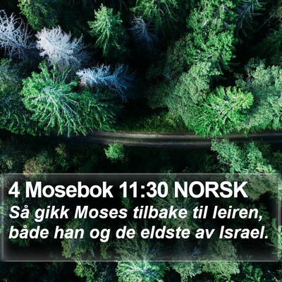 4 Mosebok 11:30 NORSK Bible Verse Image