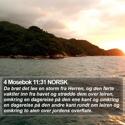 4 Mosebok 11:31 NORSK Bible Verse Image