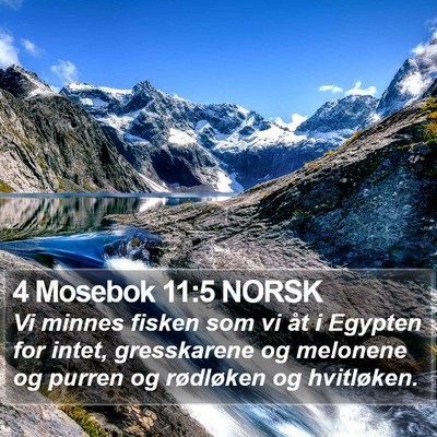 4 Mosebok 11:5 NORSK Bible Verse Image