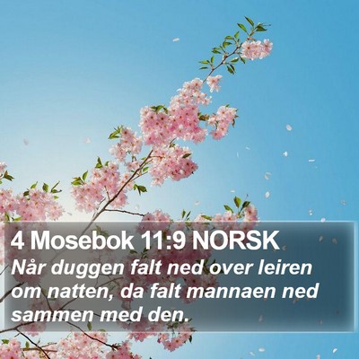 4 Mosebok 11:9 NORSK Bible Verse Image