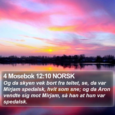 4 Mosebok 12:10 NORSK Bible Verse Image