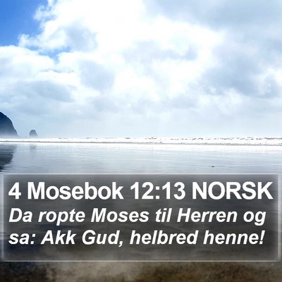 4 Mosebok 12:13 NORSK Bible Verse Image
