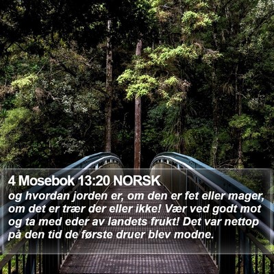 4 Mosebok 13:20 NORSK Bible Verse Image