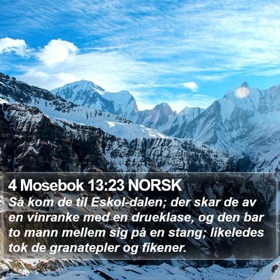 4 Mosebok 13:23 NORSK Bible Verse Image