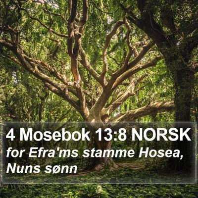 4 Mosebok 13:8 NORSK Bible Verse Image