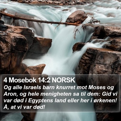 4 Mosebok 14:2 NORSK Bible Verse Image
