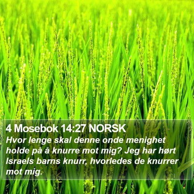 4 Mosebok 14:27 NORSK Bible Verse Image