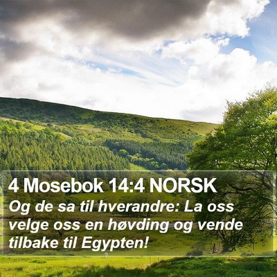 4 Mosebok 14:4 NORSK Bible Verse Image