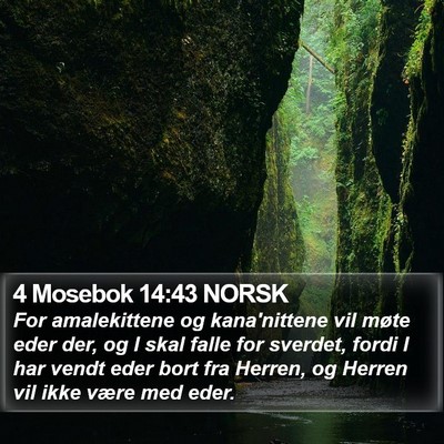 4 Mosebok 14:43 NORSK Bible Verse Image